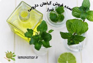 عمده فروش گیاهان دارویی شیراز